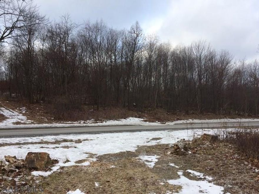 Price reflexes sale with NO mineral right being conveyed.Property may be able to be bought with mineral rights. 1.5 miles up 453  from Tyrone after the sharp left hand  turn and where you turn back to Hump's Pond. 453 splits this property almost in half so it is on both sides of the road. Property is surrounded by Game lands and the Tyrone Boro water shed.