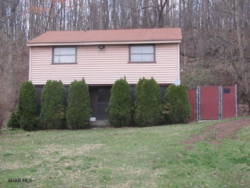 Find a place to relax, fish, kayak, let the kids ride bike and enjoy the peaceful sounds of Juniata river during the spring, summer and fall. Use the place as hunting base camp in the fall. This property sits on the edge of the Juniata River giving you access to the water but yet the structure as never been under or in the water. It comes with a 14 x 28 screened enclosed porch, a large Dog kennel and fireplace flue ready for using a wood burner or a pellet stove. The property has a flat area for RV parking or throwing an extra tent up. The structure needs some cleaning and some fresh paint and carpet but with a little work and little cost this could be a great hang out.