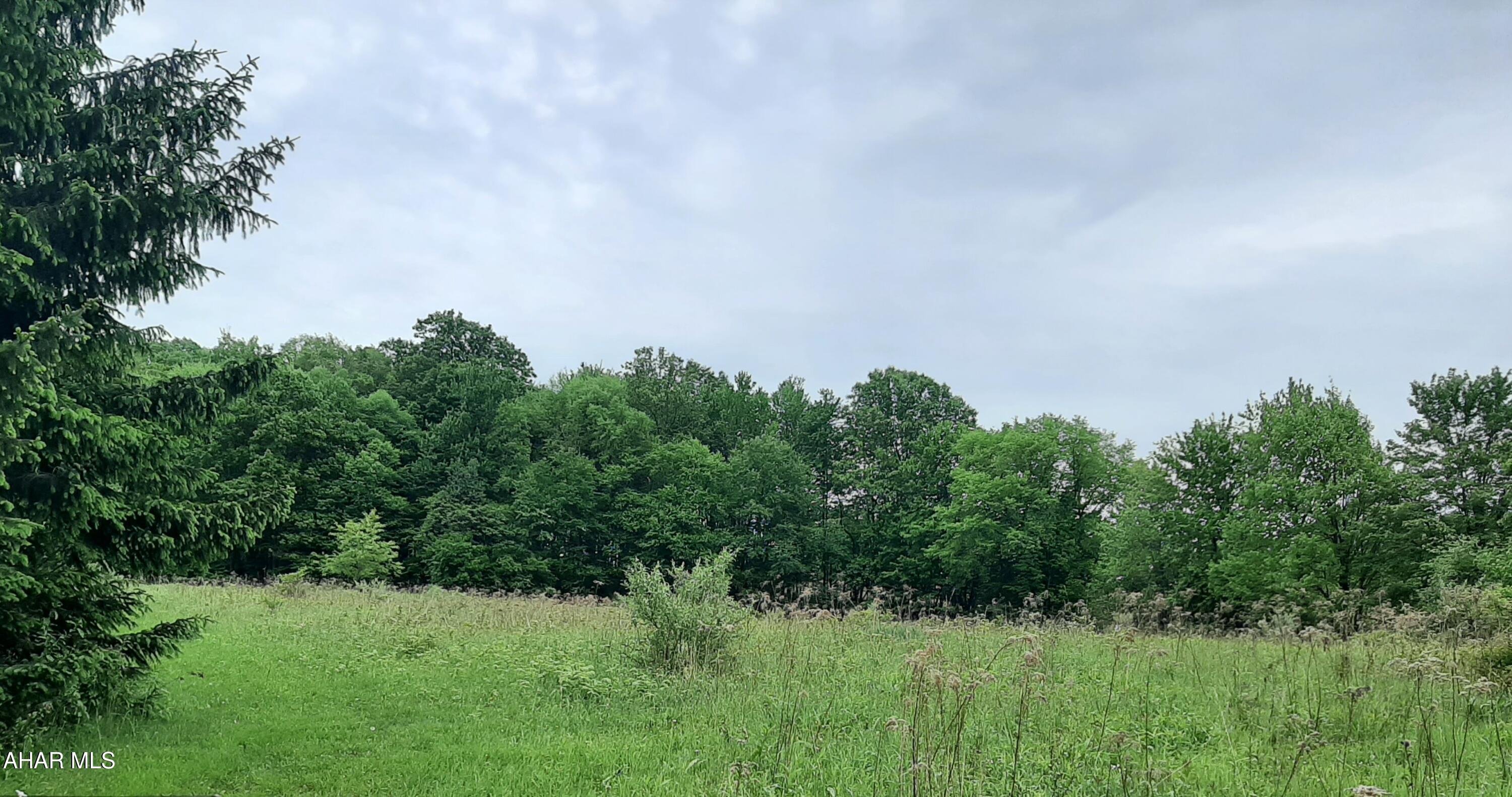 None - Commercial Sale