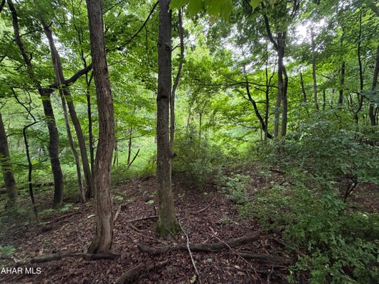 MONROE ST, EVERETT, PA 15537 - Image 82fbf577a8c9bda07e714f82ef720b39/147628131