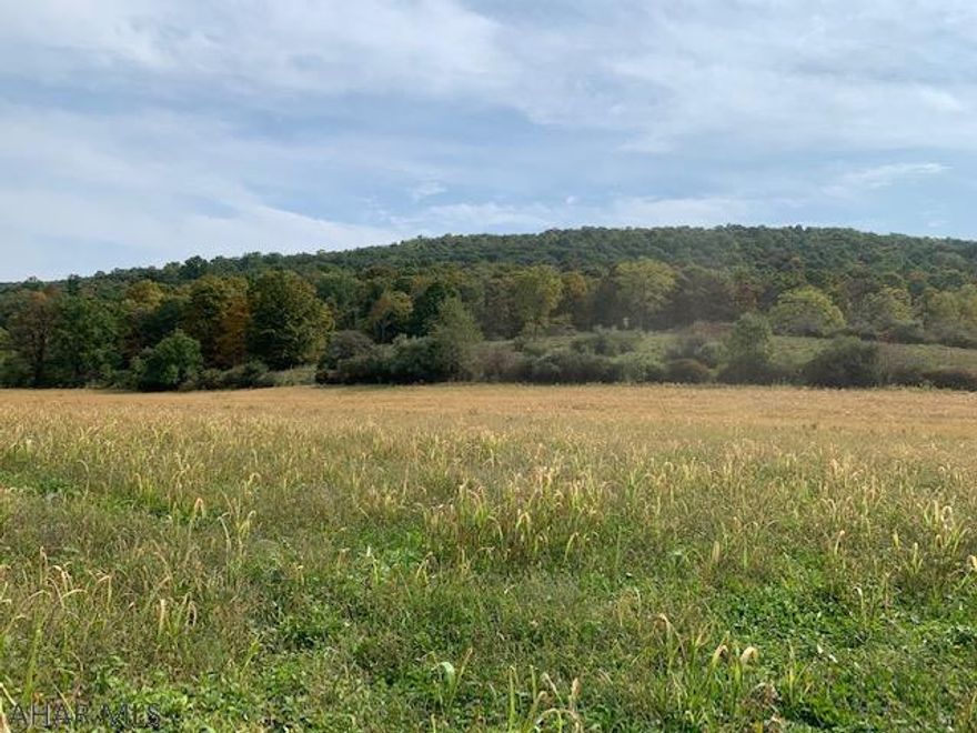 Beautiful building lot perc approved for a home or cabin, level to rolling and mostly cleared cropland enrolled in the Clean and Green Program. Additional acreage can be purchased. Lot 2 24.85 ac $114,000. building lot, perk approved for a single family on-lot septic system and surveyed. Lot 3 is 14.2 at $91,000 building lot, perk approved for a single family on-lot septic system and surveyed. Lot 4 is 76.46 & 91.15 acres of wooded unimproved property, surveyed combined total acreage is 167.61 acres for $340,000. Each of these LOTS can be purchased separately taxes are approx..The existing driveway, which runs through Lot 1 to the proposed building lots 2 & 3, will be designated as a ROW associated with Highway Occupancy Permit #09018733. Deeds for all parcels will have a designated ROW.