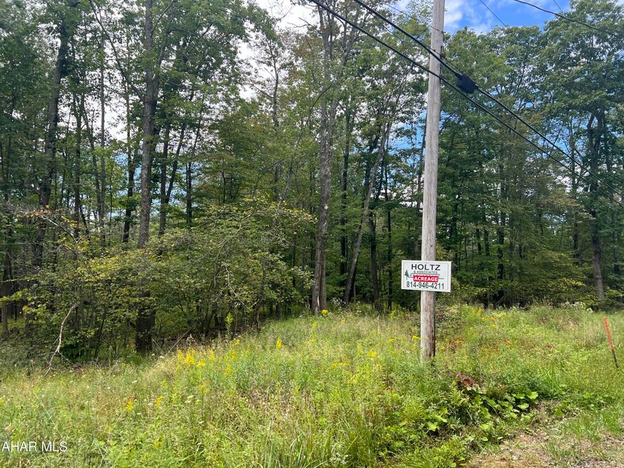 Beautiful wooded building site with lots of township road frontage. This site is mostly level and has been perc approved for sand mound. The site adjoins large State Game Lands and affords privacy. Great location and very nice site for your new home or camp!