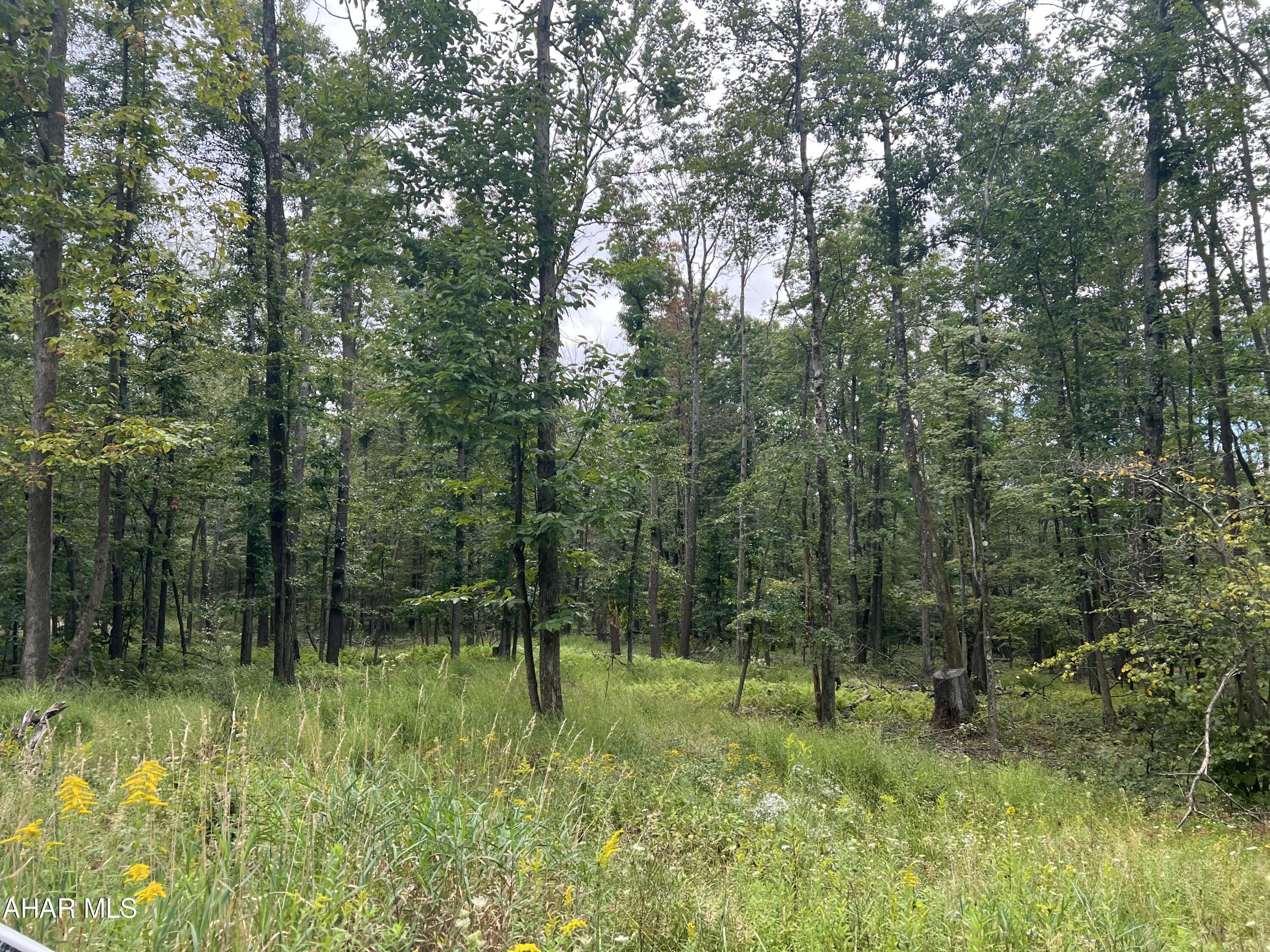 None - Commercial Sale