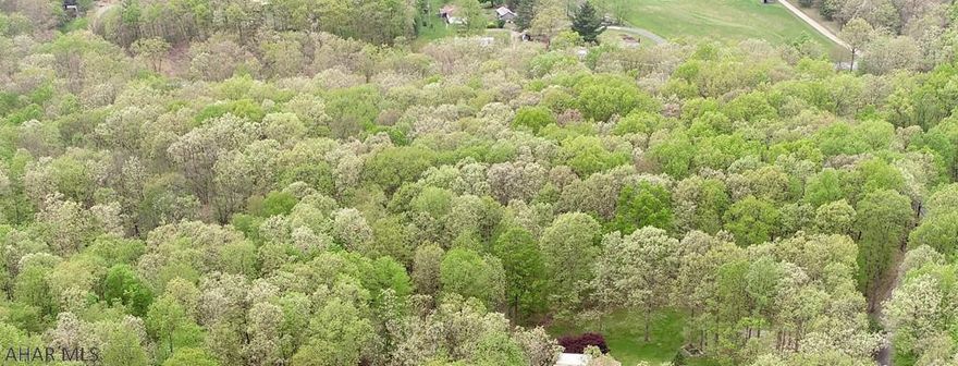 Nature lovers will love the seclusion of this 7.23 acre gem located within minutes of the Omni Bedford Springs Resort.  Its location makes it an ideal building site as it is a short 3 to 5 minute drive to the historic town of Bedford.