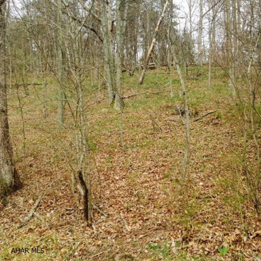 5 acres of undeveloped ground in Southern Bedford County. Located in Mann Township.