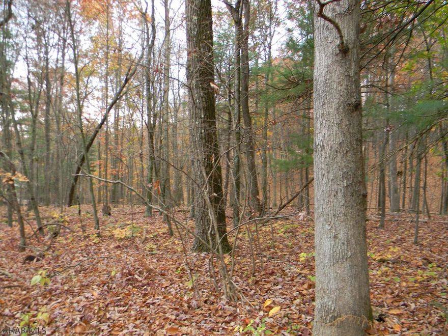 Private & secluded, perfect for hunting, close to the Juniata River, Raystown Lake, and the H&BT Rail Trail for fishing, hiking, and biking;    Electric available