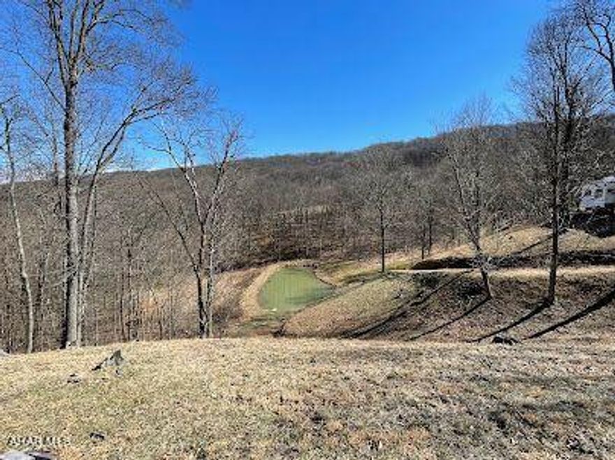 Located within 7 minutes of the Shy Beaver Boat Launch. This year-round property with a 70 x 30 Koi fish pond,  is a great place for your dream or vacation home. 
It has an existing sand mound, private well, and electric is available. RV can be purchased separately.