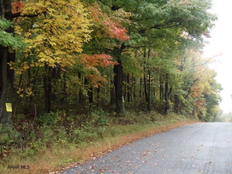 Nice 5 wooded acres in Juniata Twp. - Hollidaysburg schools. J-160