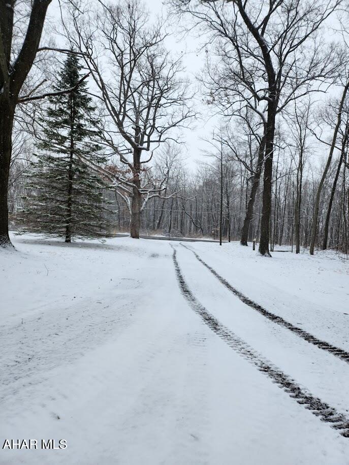 None - Residential Lease