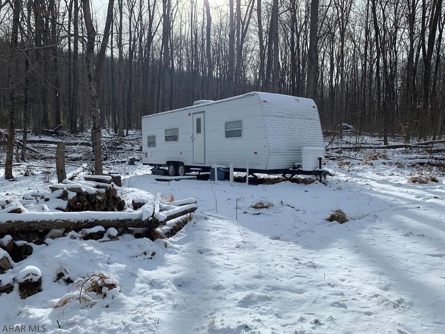 Nice wooded parcel of land consisting of 10+/- acres with camper on site. Would make a nice place to build a getaway or full time residence. Located not far from White Sulphur Springs, State Game Lands, and Historic Downtown Bedford.