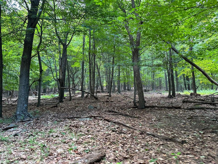 123.97 acres of fully wooded ground in Southern Bedford County.  New Slate road takes you directly to the property.  Several locations for recreational cabin. Recently surveyed with clear markings.  Trail access to and on the property taking you the entire way to the top of the mountain.  Some incredible views from the top of the mountain as you can see to Somerset county and the Hancock Gap.   Fantastic Hunting!