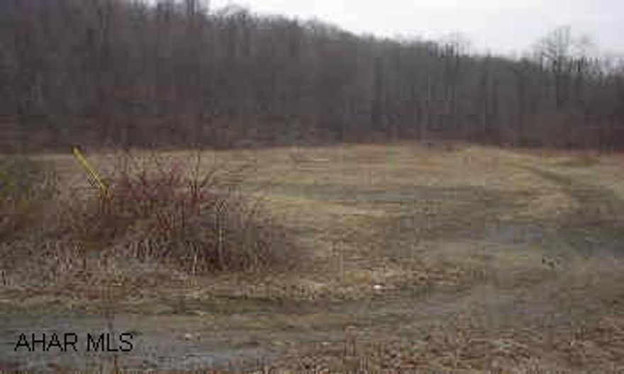 45.8 acres per tax map, level building/cabin site, 2800 +/- frontage along Route 53 and 670 frontage along Amsbry Rd. Clearfield creek runs thru back of property. Good hunting and fishing ground.