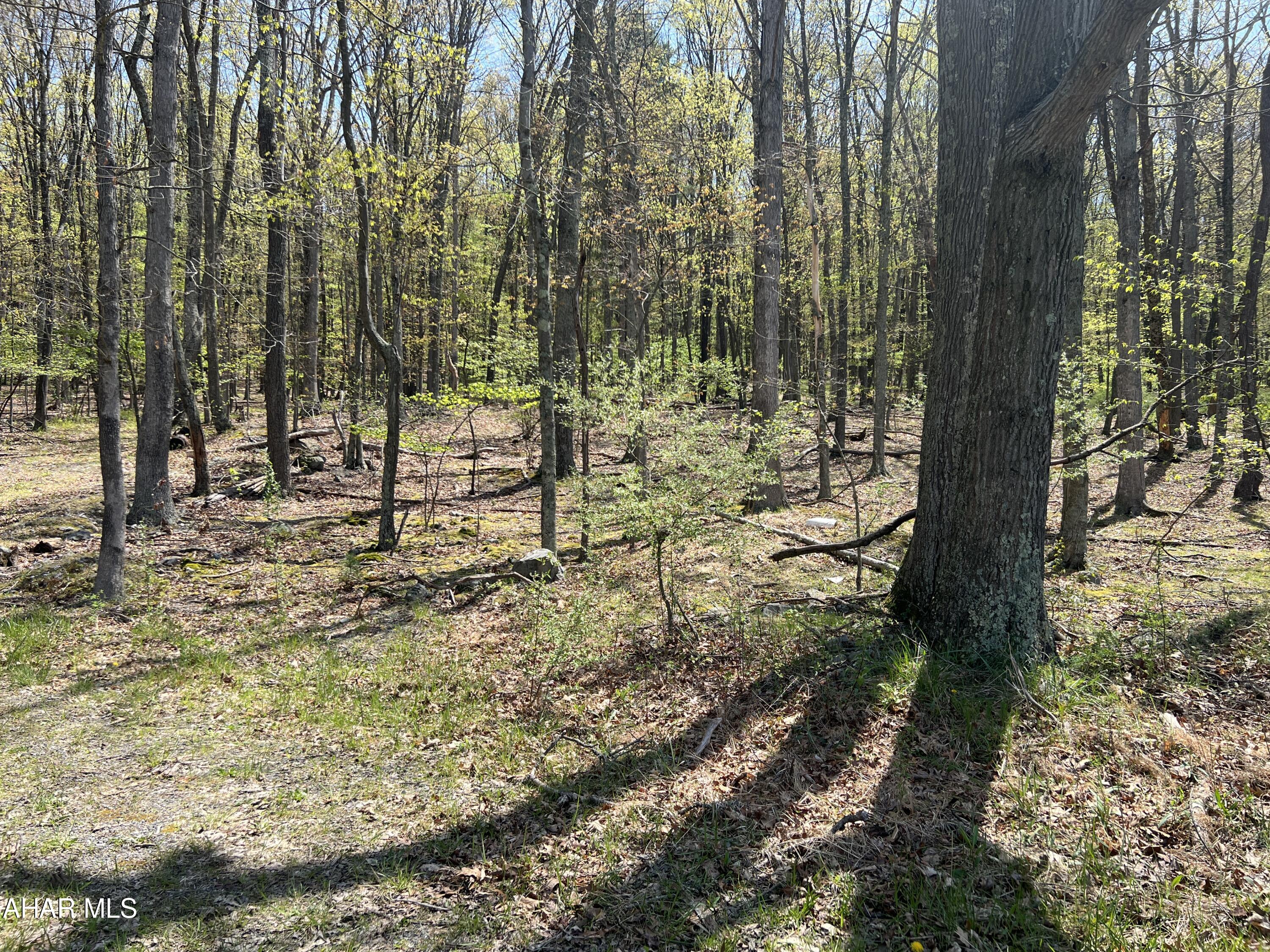 None - Commercial Sale