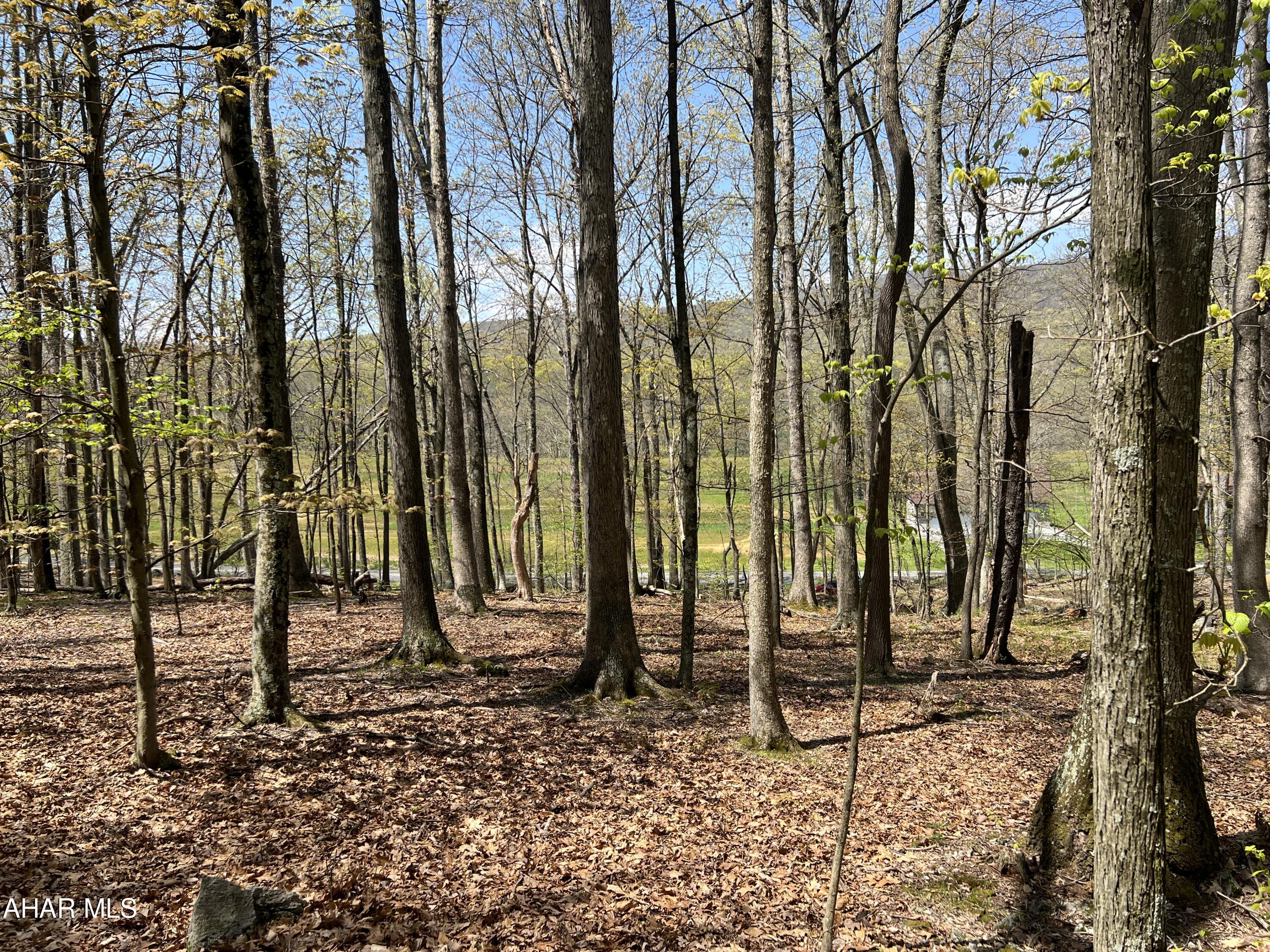 None - Commercial Sale