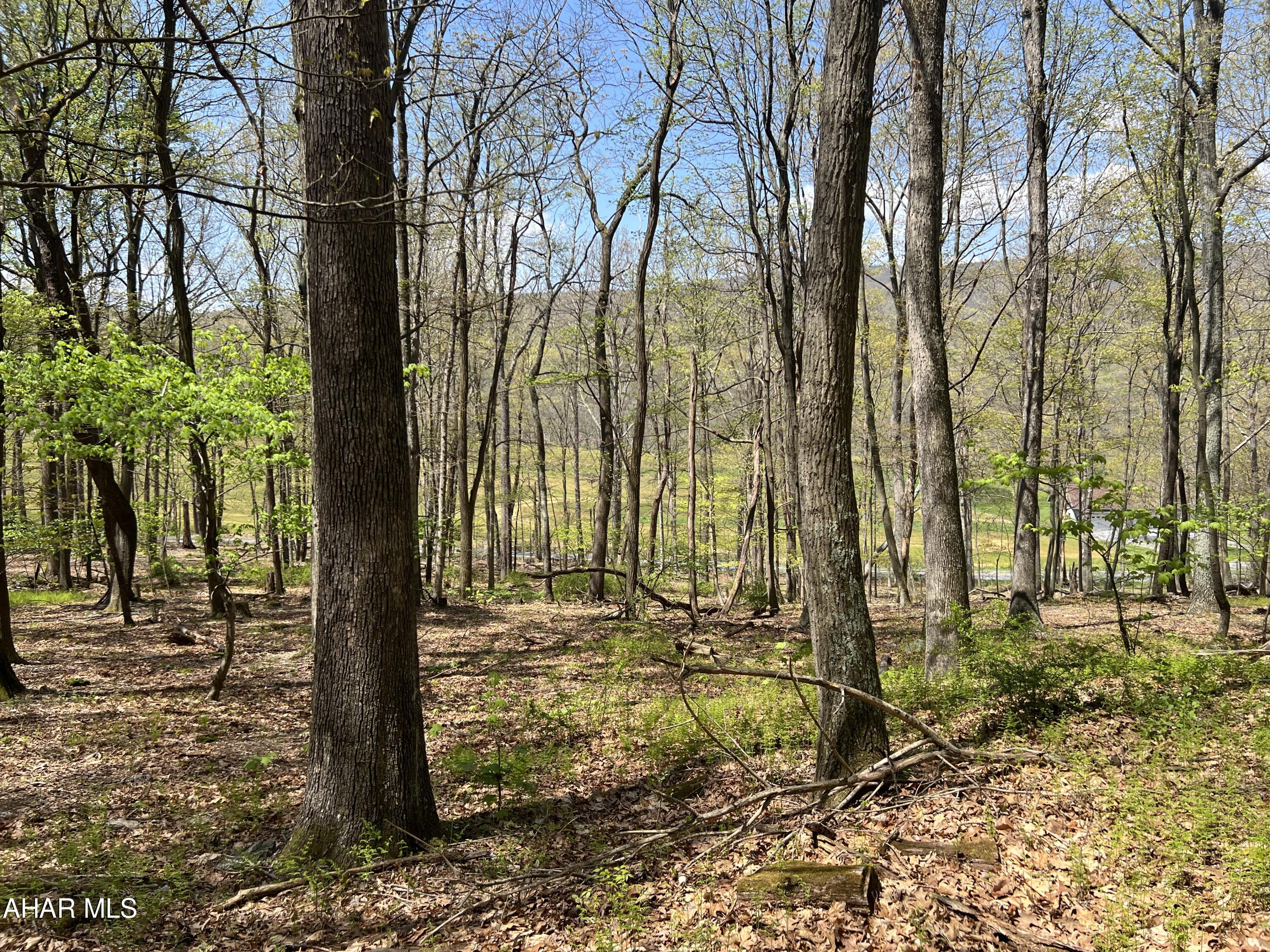 None - Commercial Sale