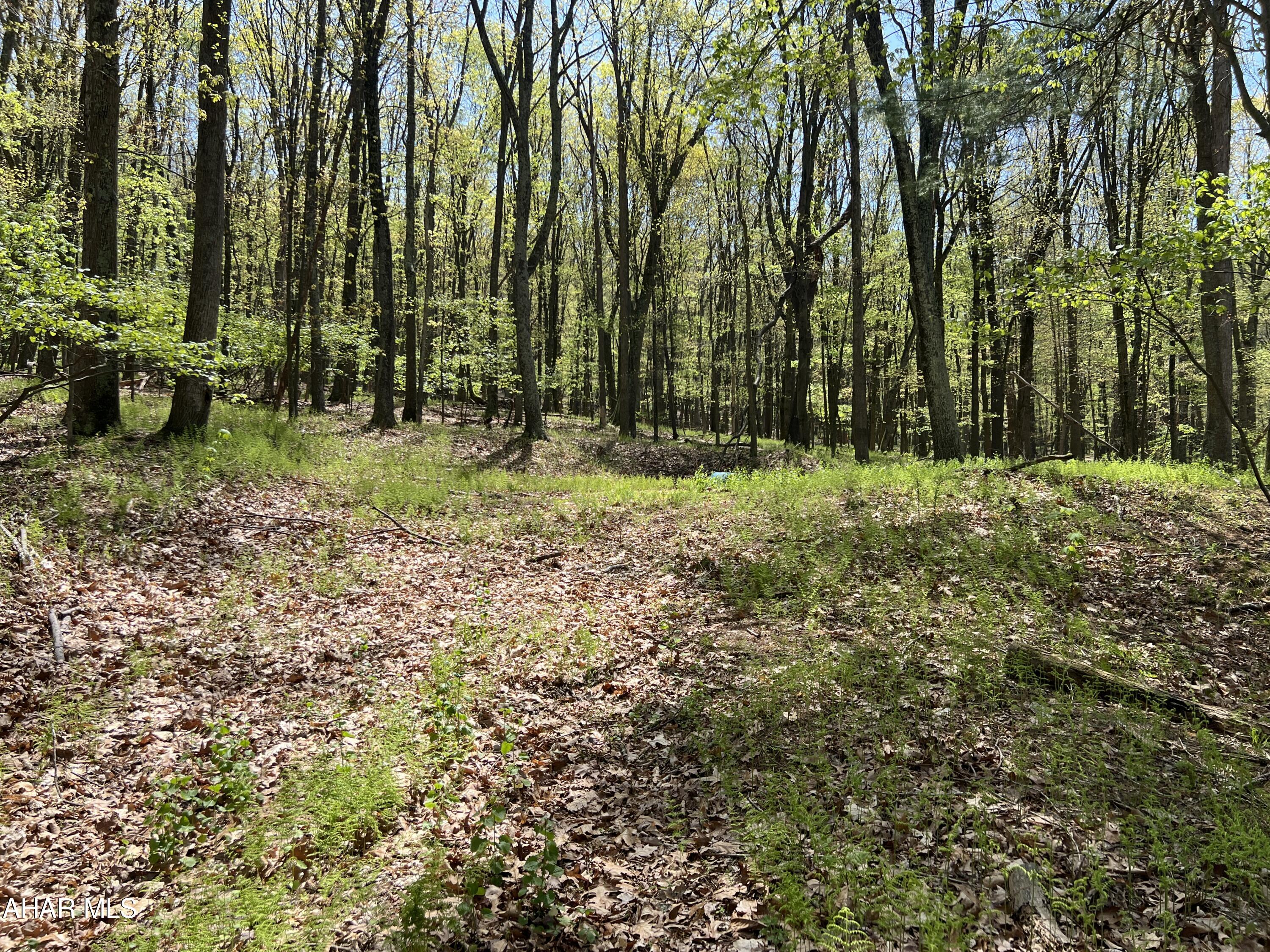 None - Commercial Sale