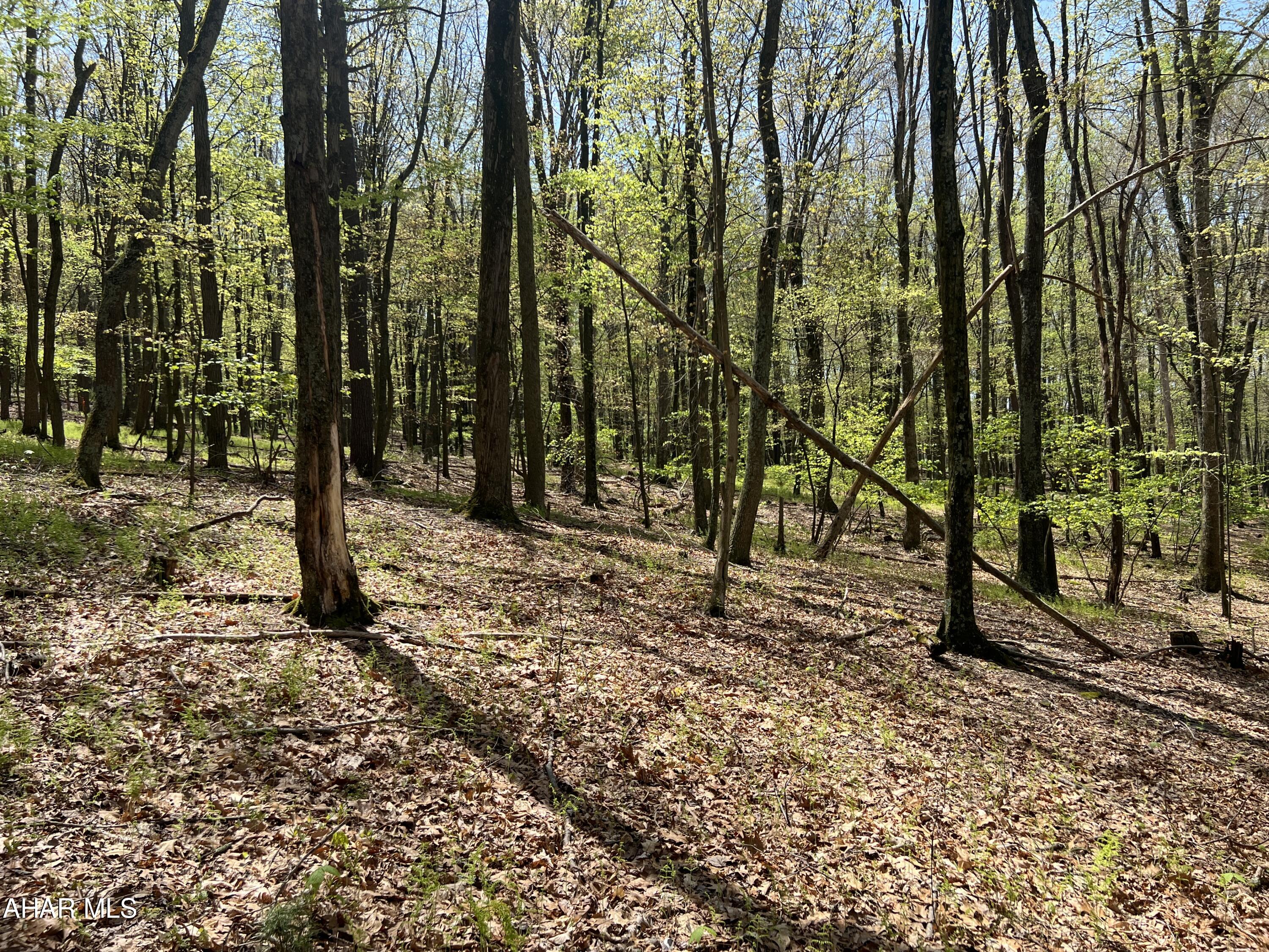 None - Commercial Sale