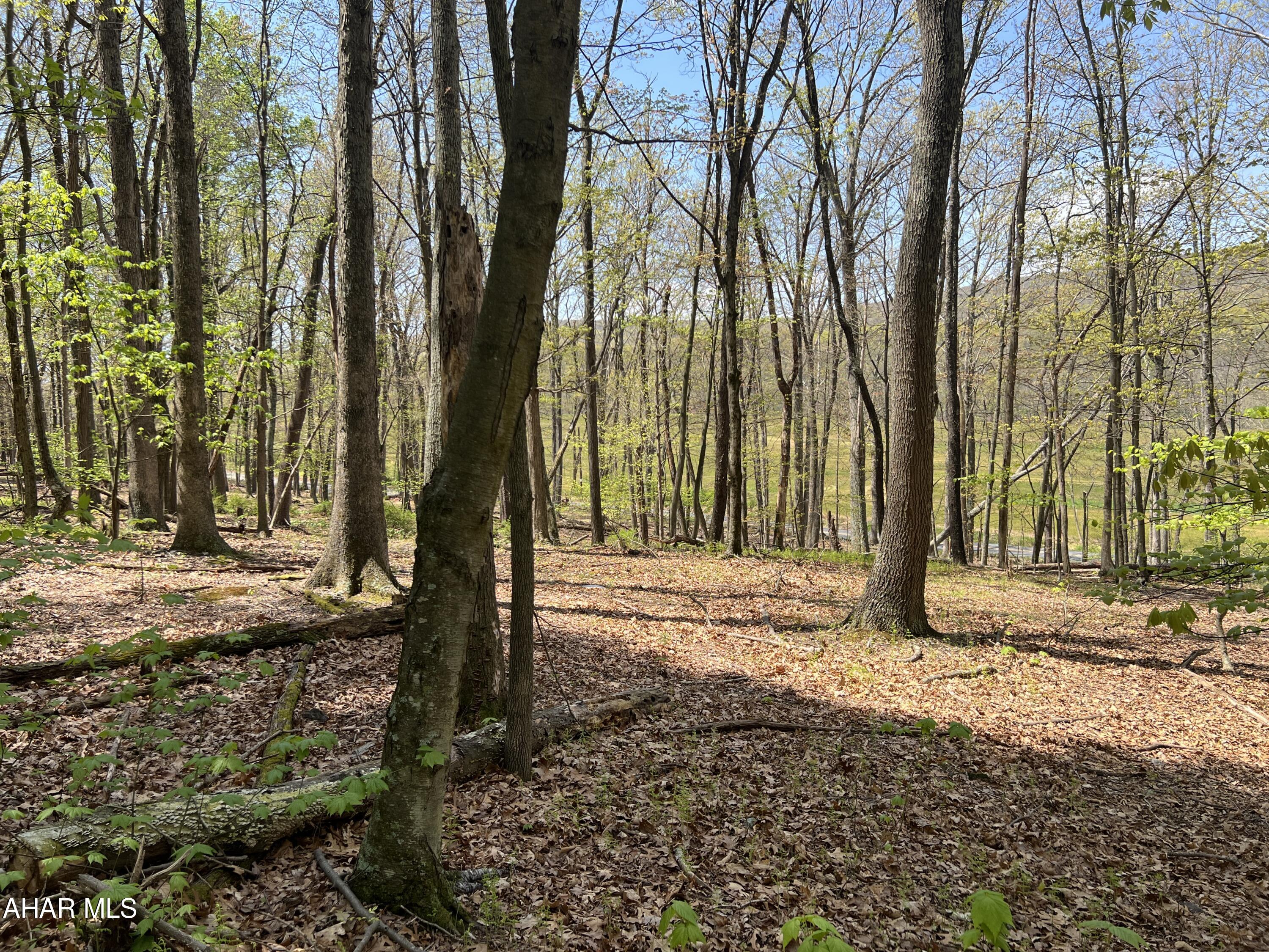 None - Commercial Sale