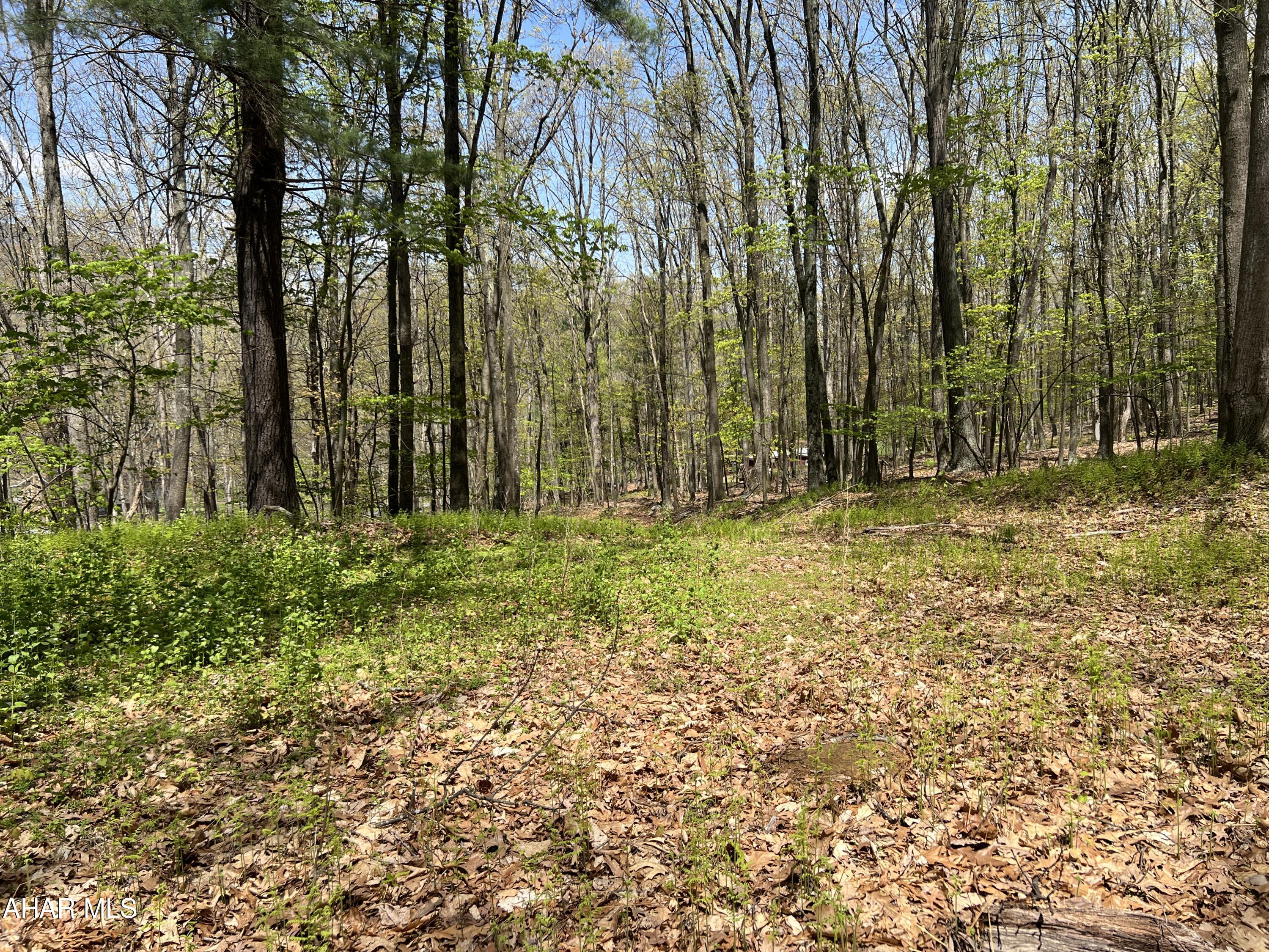 None - Commercial Sale