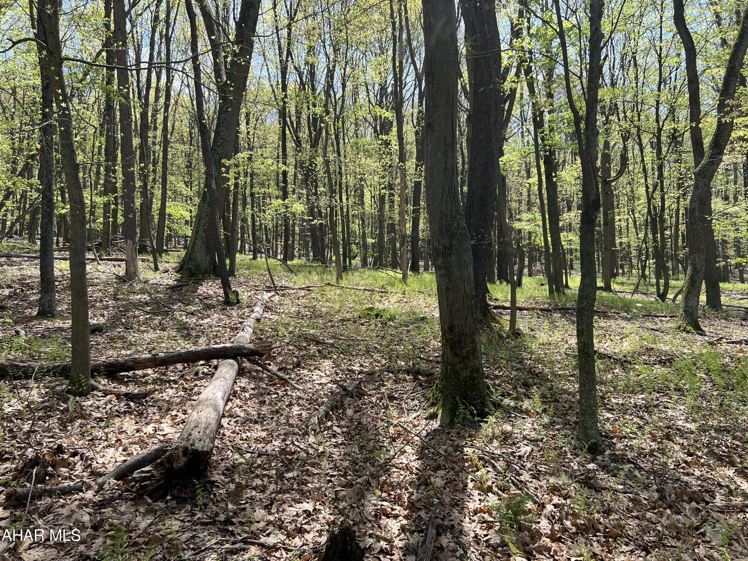 None - Commercial Sale