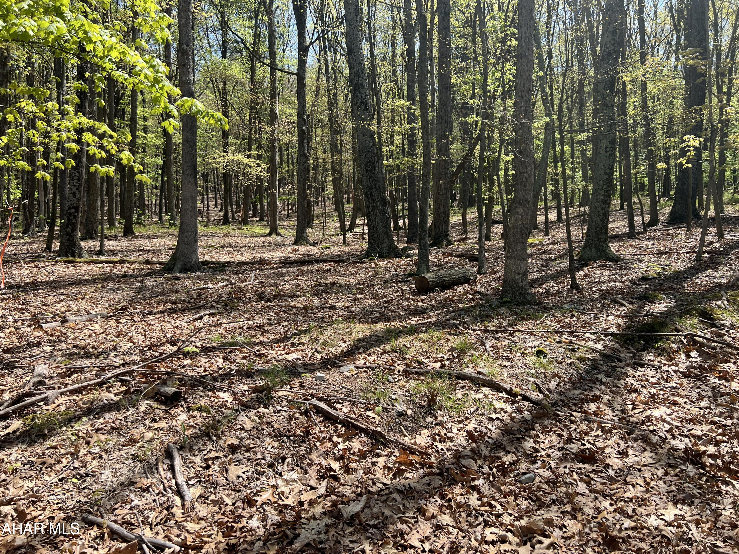 None - Commercial Sale