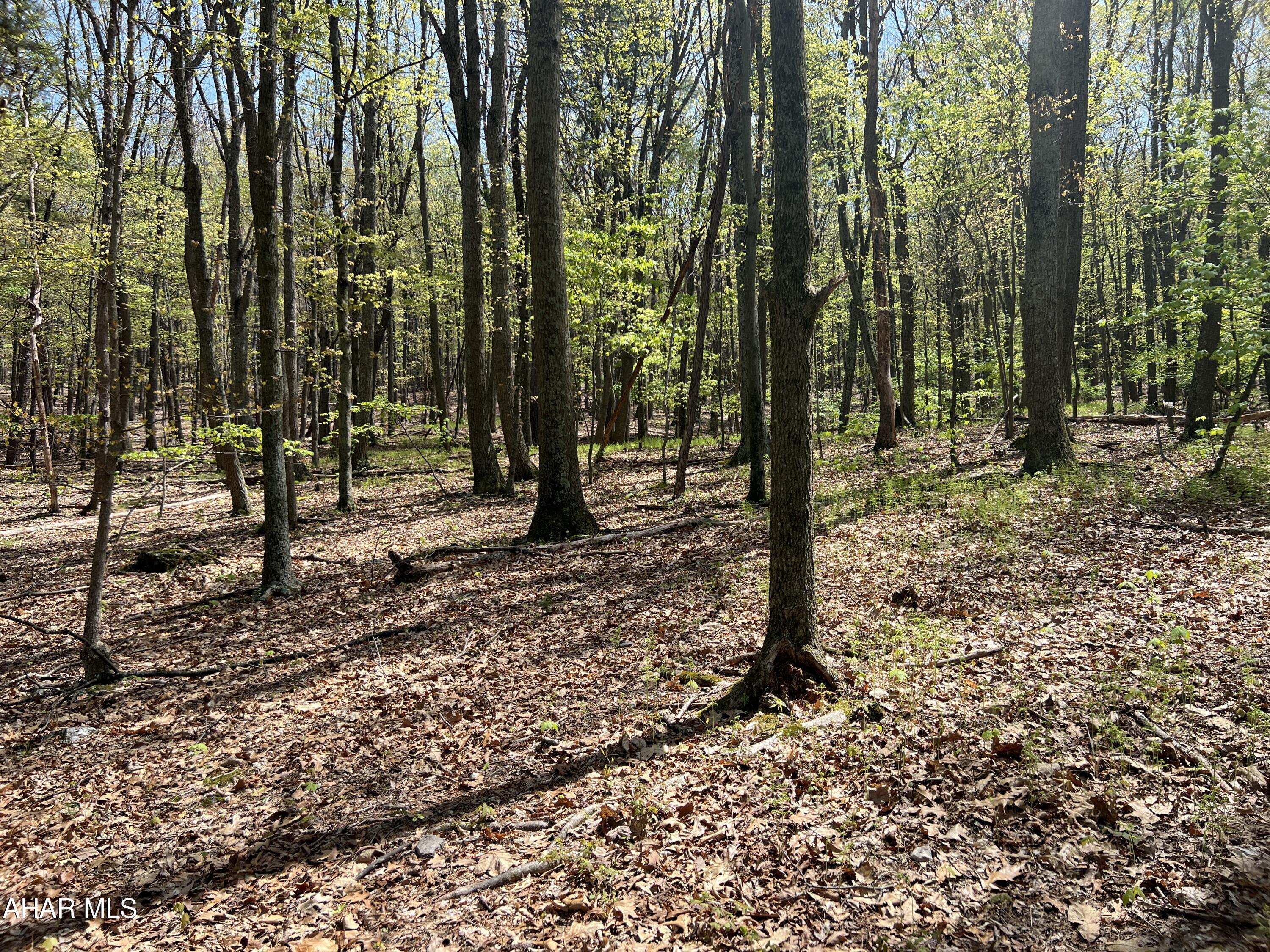 None - Commercial Sale