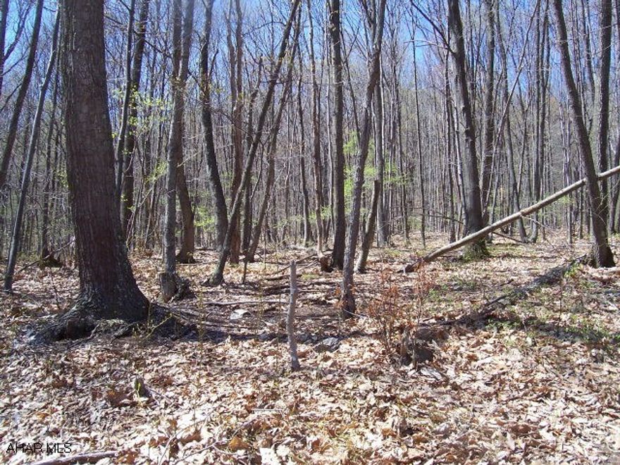 PRICE GREATLY REDUCED!!!Beautiful Home Site!!  Peaceful and private and only minutes from downtown Bedford.  Previously perked approved with documentation for sandmound. Near the Bedford Springs Resort!