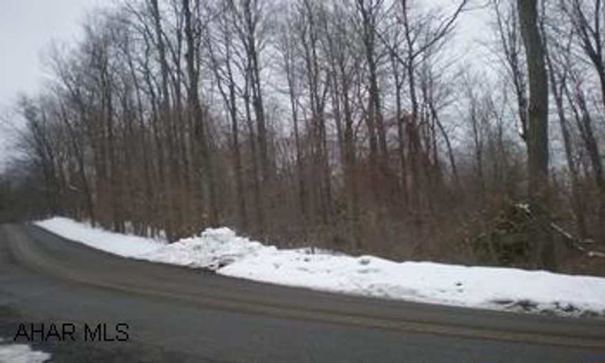 10 acres mostly wooded - some field - lots of road frontage - public water (2 taps not paid at $600 each). Public sewage with tap paid. Beautiful country setting within 5 minutes of Glendale Lake and Rock Run Rec area. State Game Lands nearby.