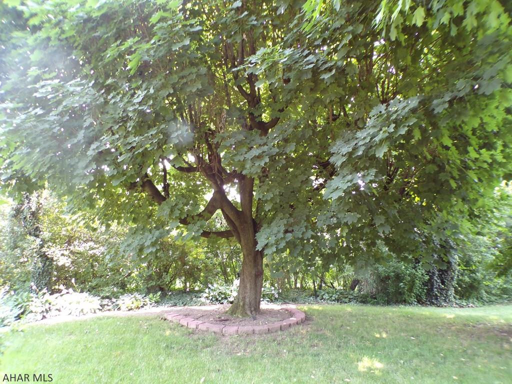 Mansion Park - Residential