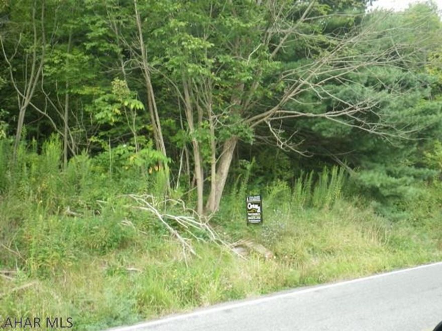 Northern Cambria- Susquehanna TWP 5 acres of vacant woodland. Used to have a house. No public utilities in site. Would make  a great home site.