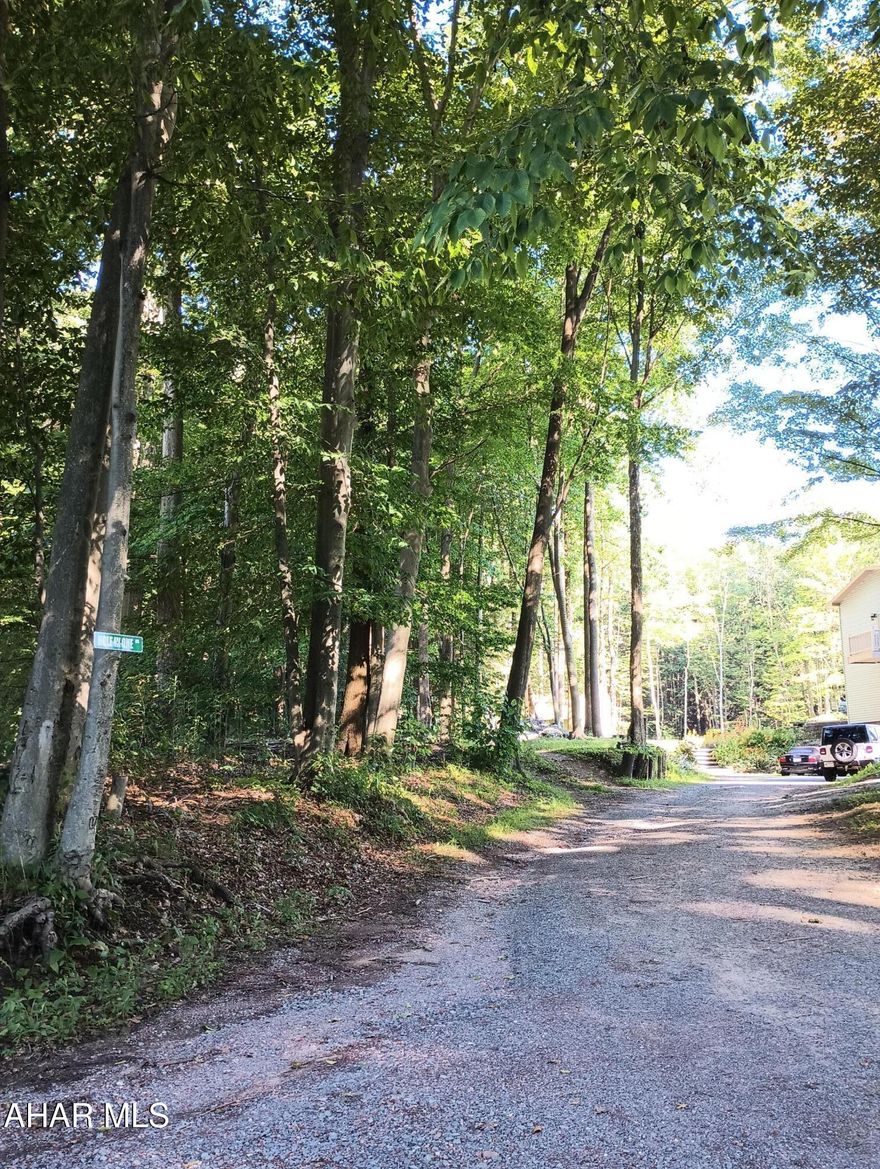 Are you looking to build the perfect home on a flat piece of property? Contractors, are you looking for a vacant lot to build on? Come see this 150 x 250 piece of land slightly nestled off the road in Cresson, PA. Water and Sewage is available at buyers expense. Great location! Lots of potential.