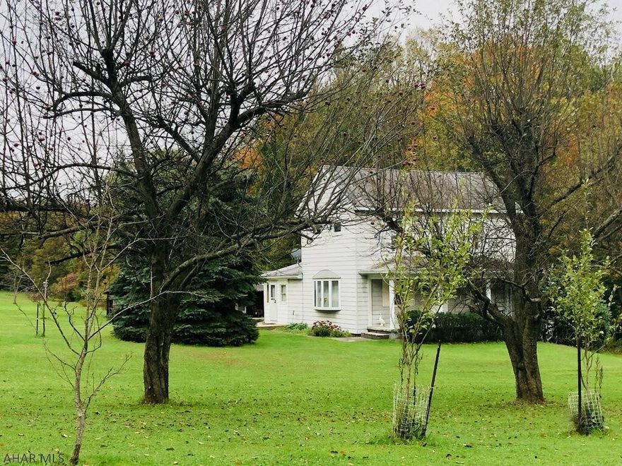 Awesome country setting on Lilly Mountain! Come take a look at this 3 bedroom home with room to grow. This 3 acre parcel offers a 24x32 detached garage, pond, fruit trees, grape arbor and a workshop/barn. The house offers 3 comfortable bedrooms, bonus room that could be 4th bedroom, large eat in kitchen, den, and living room. The walk out basement leads you to the expansive yard for an evening by the fire. Call for your tour today!