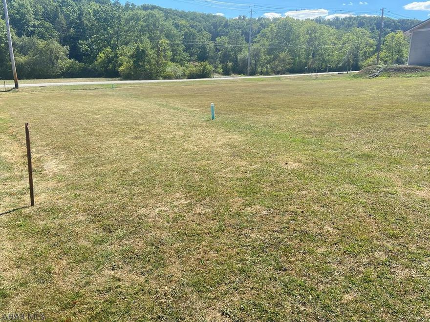 Beautiful 0.3 acre property with public sewer.