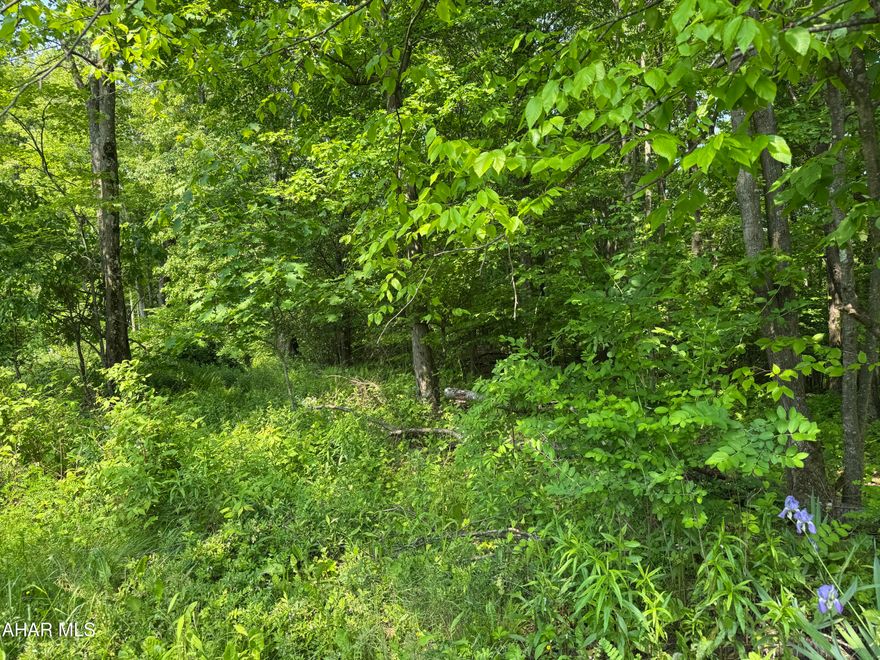 35 acres of wooded land with 50 r/w off Hillside Drive. Private setting will make an excellent homesite. Was approved for on lot sewage years ago - may need to be retested.