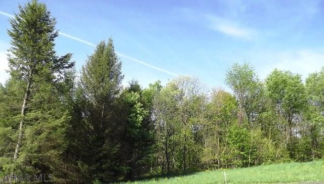 Spruce Hill Estates - Land