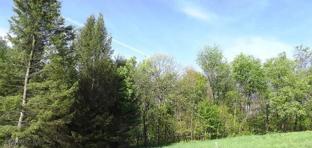 Spruce Hill Estates - Land