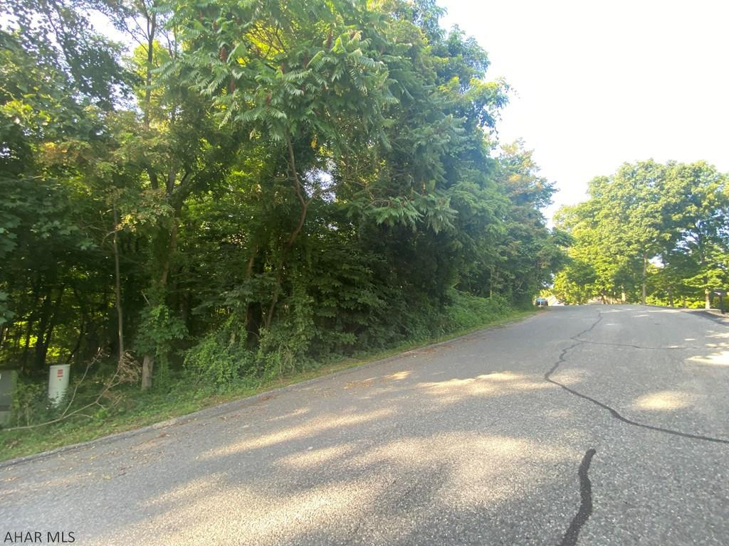 Juniata Mills - Land
