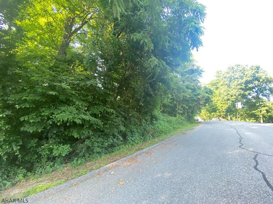 Lot 42 in Juniata Mills, off Mill Ridge Road. A second lot adjoining is available! See separate listing, Lot 43. Over half an acre of beautiful land in a well established Bedford County community. Privacy within a community is the beauty of Juniata Mills! Easy access and ready for your new build. Public sewer and electric are ready to go. These are two of very few remaining lots in Juniata Mills and combined create over an acre of land. Set up your showing today or call listing agent for more information!