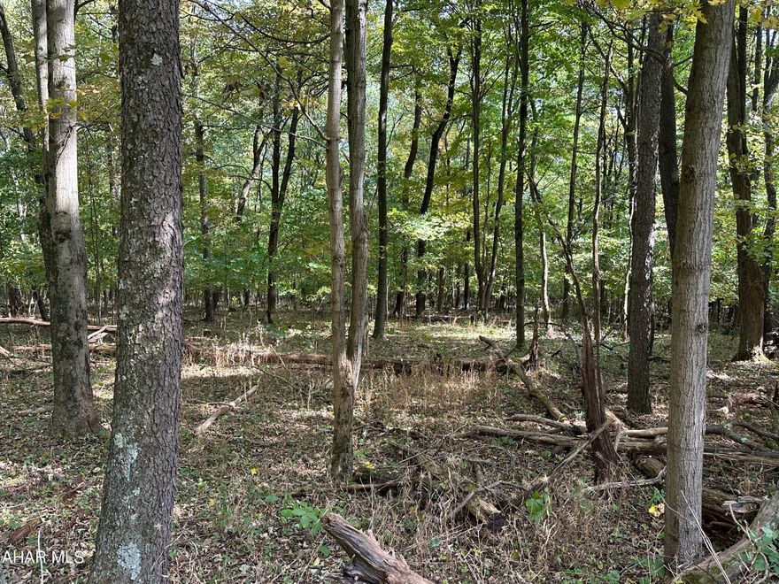 Spectacular western views from thisridgetop lot.  10.377 acres with a level building site, perc approved, and easy access.  Underground electric available to tie into at each lot.  Gravel road access, minimal deed restrictions.  Perfect for a dream home, recreational retreat, hunting and more.   Mins from Shawnee State Park, Omni Bedford Springs and much more.