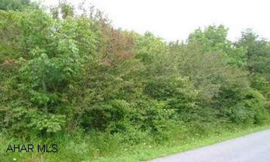 Vacant wooded level lot.  Approximately 3.5 miles from I-99.  (Directions:  From Bedford take I-99 north to Exit-7, left onto Brumbaugh Road, right onto Wm. Penn Rd, left onto Heritage Road, left onto Pine Knob Road approx. 1 mile.  Ground on the right.)