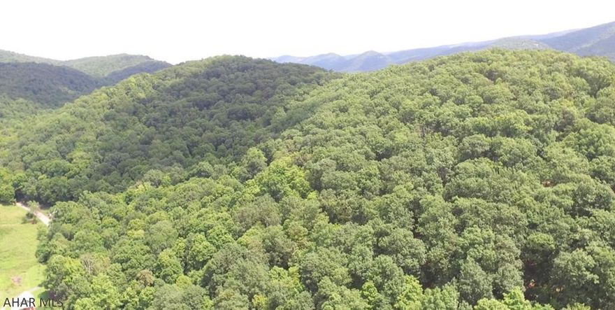 Incredible chance to own a large piece of ground with excellent timber value potential. This would make a great hunting or nature lover's retreat. Private and secluded make this a must see opportunity. Click on the Drone Video to see an overview of this land.