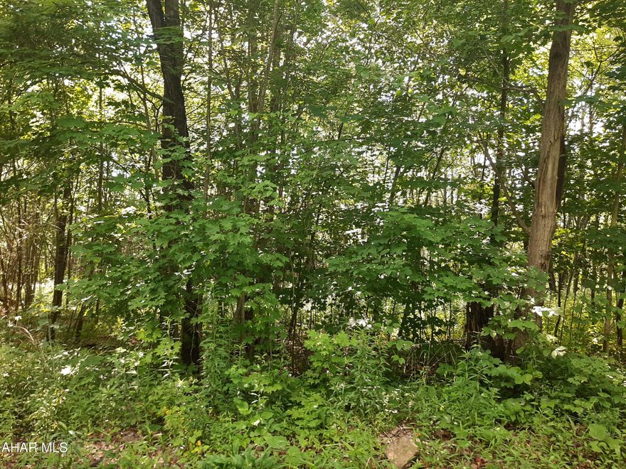 Perfect building site in Portage Township. 15.7 acres are ready for clearing and building.  Private setting. Call to set up appointment.