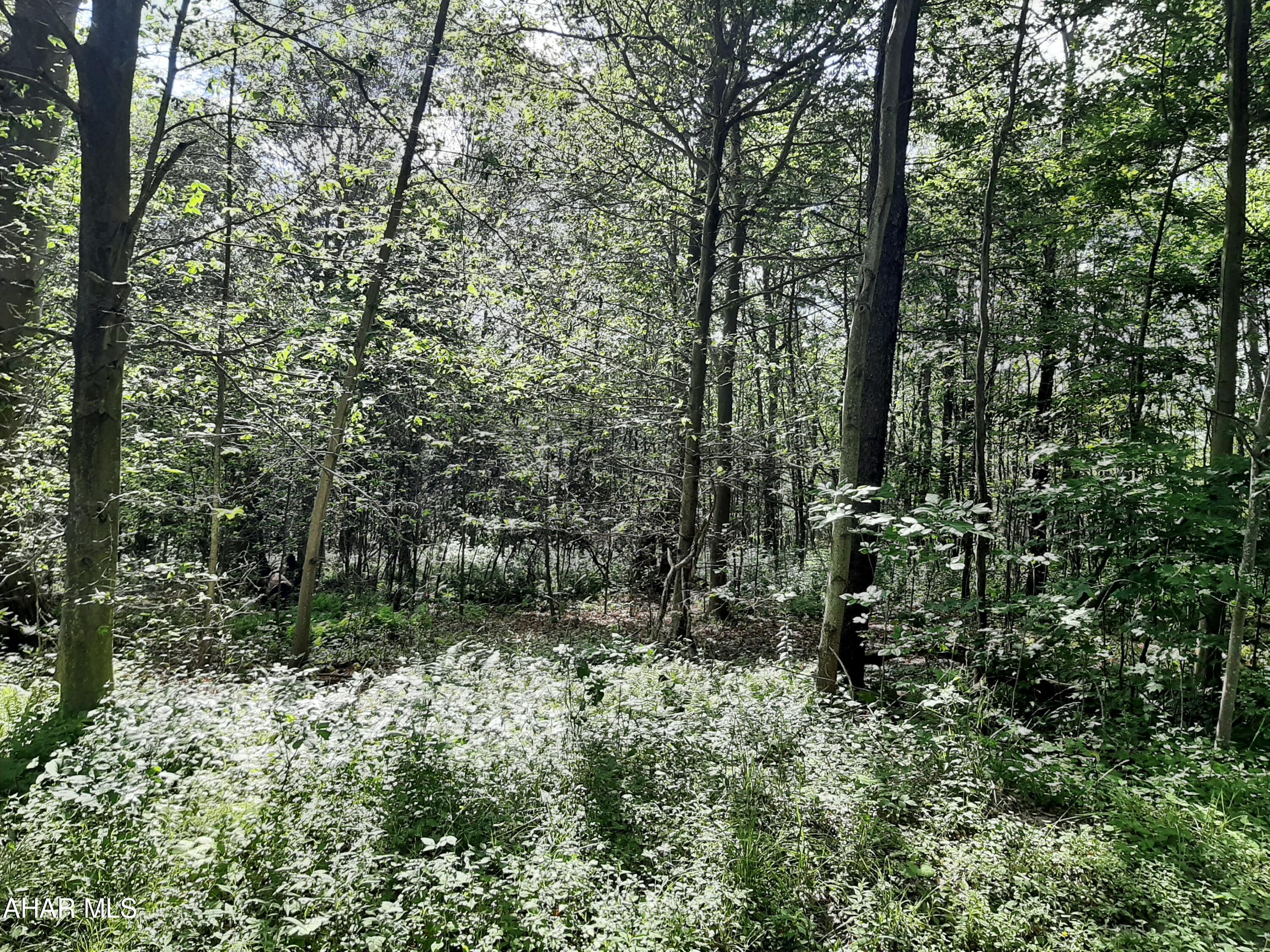 Other - Commercial Sale