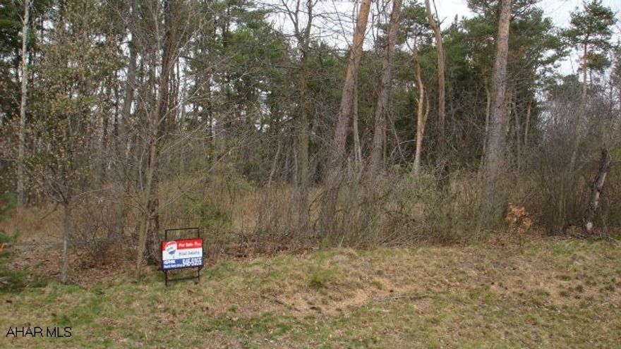 Tremendous building lot!  Great area and view!  Very private setting - convenient to everything!  Public water and sewage.  Build your dream home on cul de sac.