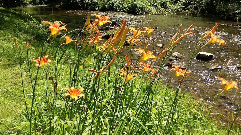 Meadowbrook - Residential