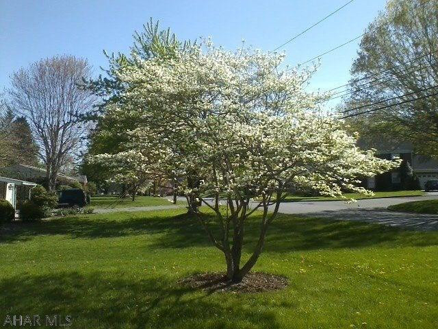 Meadowbrook - Residential