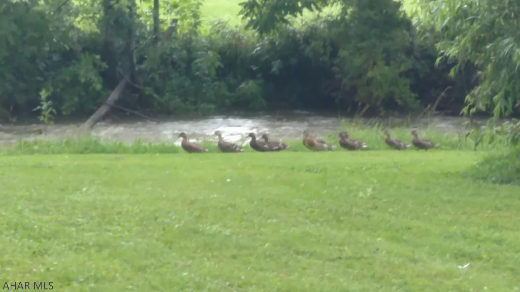 Meadowbrook - Residential