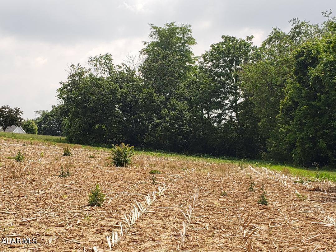 None - Commercial Sale