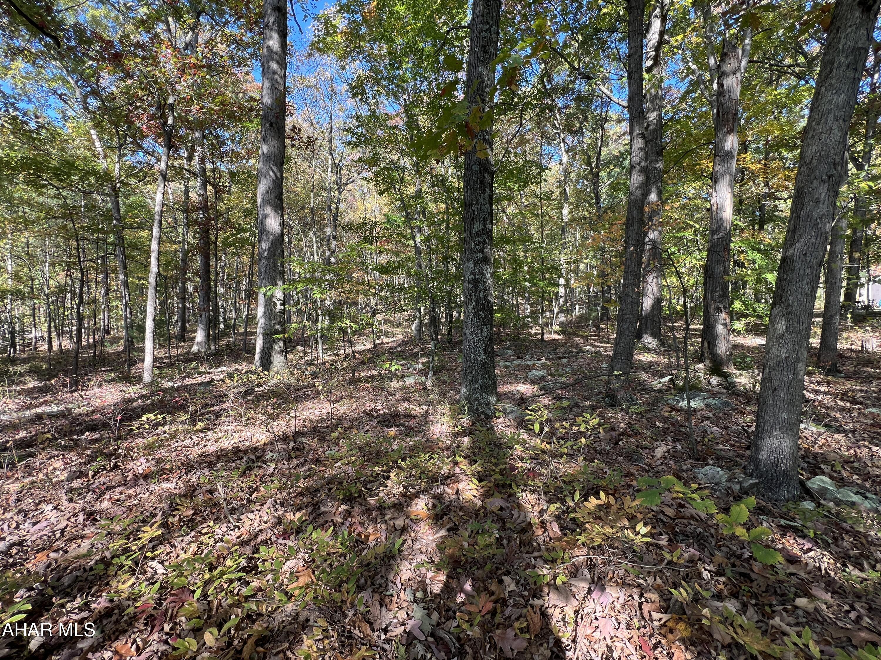 None - Commercial Sale