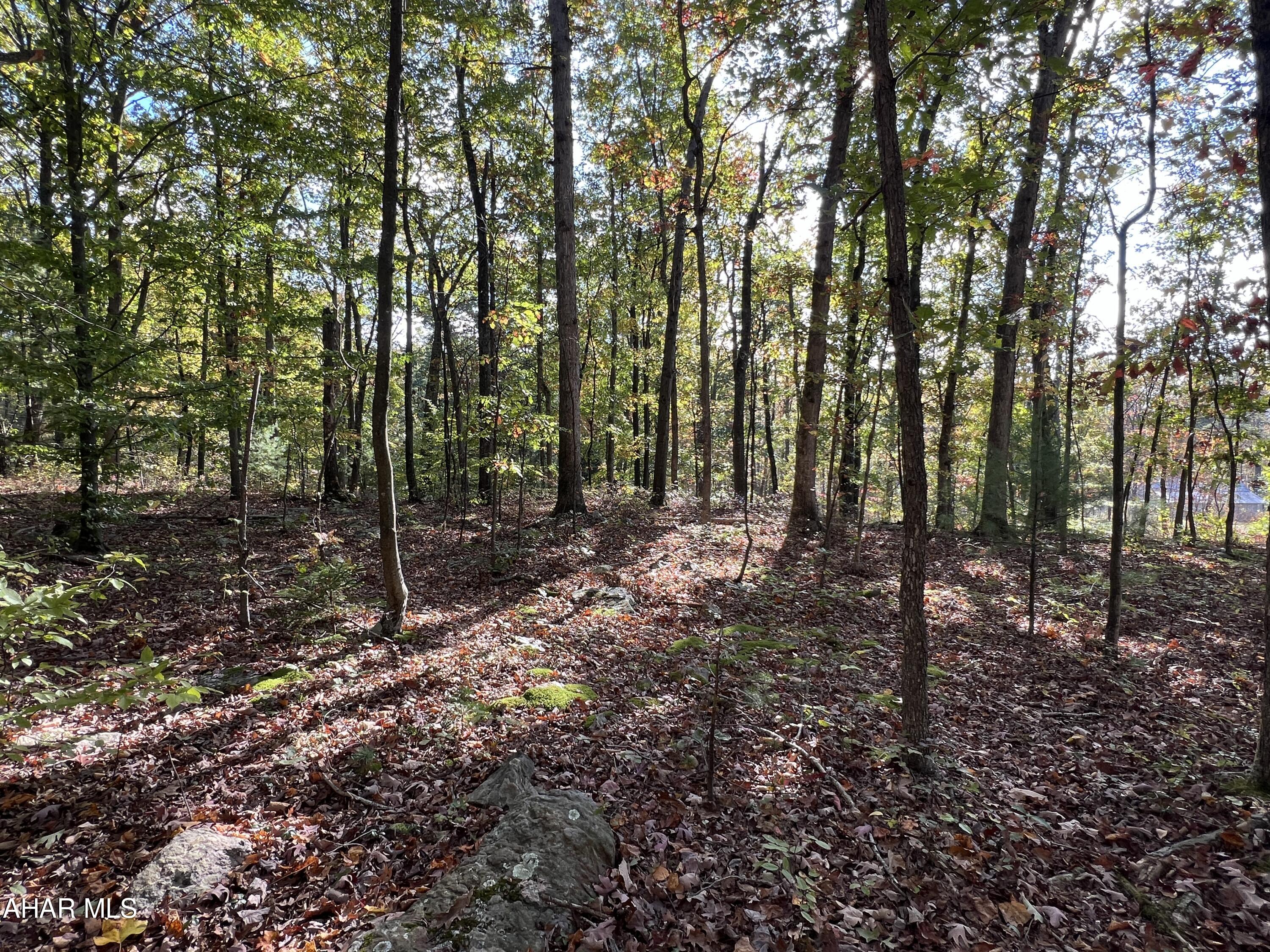 None - Commercial Sale